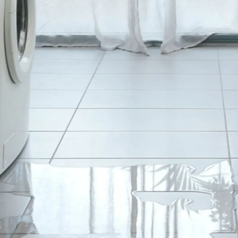 Appliance Leak Cleanup in Grant County, IN