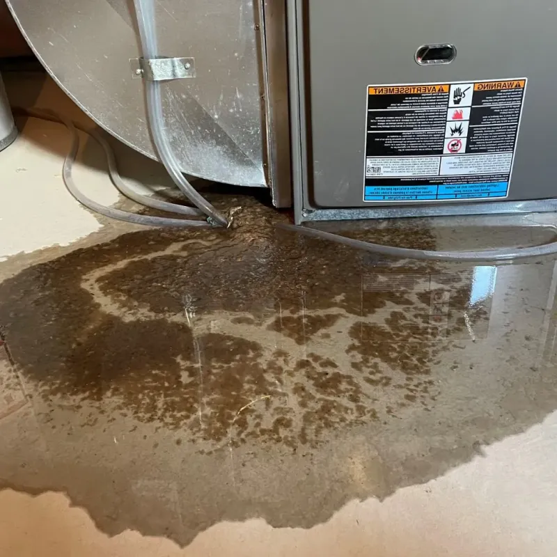 Pipe Burst and Leak Restoration in Grant County, IN
