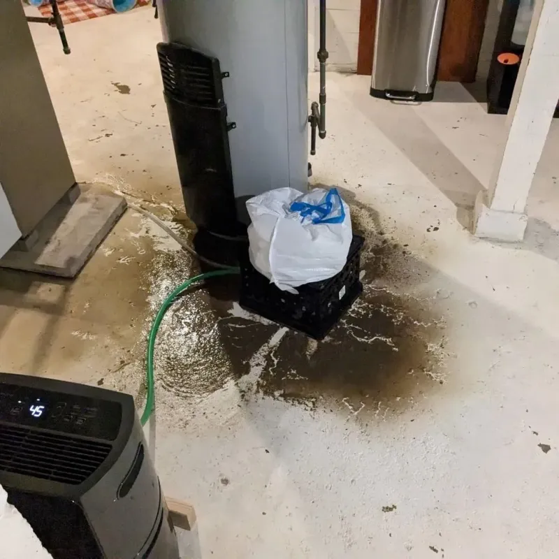 Sewage Backup Cleanup Service in Grant County, IN